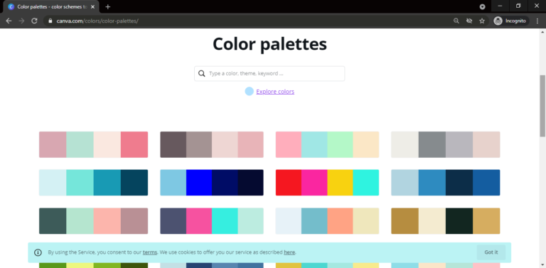 Canva color palettes